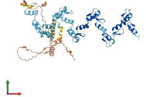 Protein Structure (PS) image for Zinc Finger Protein 879 (ZNF879) (AA 1-563) protein (His tag) (ABIN7545592)