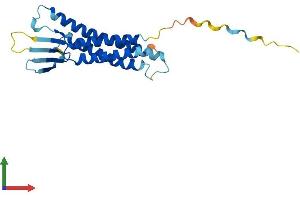Protein Structure (PS) image for Claudin 1 (CLDN1) (AA 1-211) protein (His tag) (ABIN7553449)