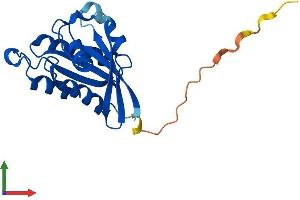 Protein Structure (PS) image for RAB22A, Member RAS Oncogene Family (RAB22A) (AA 1-194) protein (His tag) (ABIN7563159)