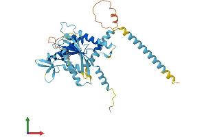 Protein Structure (PS) image for Septin 1 (SEPT1) (AA 1-366) protein (His tag) (ABIN7563240)