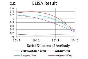 Black line: Control Antigen (100 ng), Purple line: Antigen(10 ng), Blue line: Antigen (50 ng), Red line: Antigen (100 ng), (CD22 抗体  (AA 621-725))