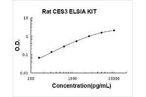 Carboxylesterase 1D (CES1D) ELISA Kit