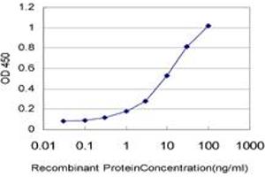 Detection limit for recombinant GST tagged ALG12 is approximately 0. (ALG12 抗体  (AA 369-425))