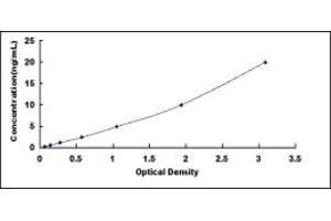ELISA image for Urocanate Hydratase 1 (UROC1) ELISA Kit (ABIN423455)