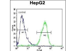 Flow Cytometry (FACS) image for anti-Zinc Finger CCCH-Type Containing 12A (ZC3H12A) (AA 331-358) antibody (ABIN654931)
