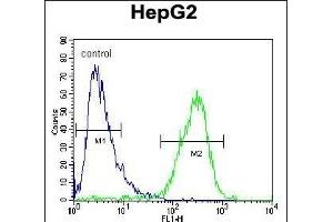 ZC12A Antibody (Center) (ABIN654931 and ABIN2844574) flow cytometric analysis of HepG2 cells (right histogram) compared to a negative control cell (left histogram). (ZC3H12A 抗体  (AA 331-358))