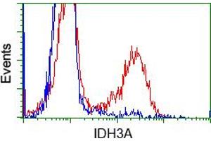 HEK293T cells transfected with either pCMV6-ENTRY IDH3A (RC200313) (Red) or empty vector control plasmid (Blue) were immunostained with anti-IDH3A mouse monoclonal (ABIN2453166), and then analyzed by flow cytometry. (IDH3A 抗体)