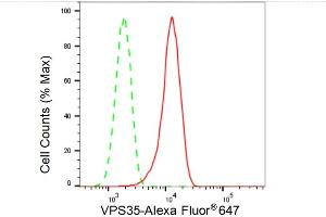 Flow cytometric analysis of VPS35 expression in C2C12 cells using VPS35 antibody (ABIN7800814), 1:2,000). (Recombinant VPS35 抗体)