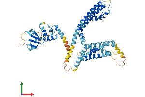 Protein Structure (PS) image for Potassium Voltage-Gated Channel, Subfamily G, Member 3 (KCNG3) (AA 1-433) protein (His tag) (ABIN7556536)