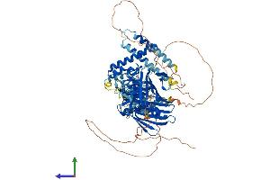 Protein Structure (PS) image for Oxysterol Binding Protein-Like 11 (OSBPL11) (AA 1-751) protein (His tag) (ABIN7559367)