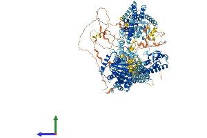 AlphaFold protein structure predicition of Mouse Recombinant Kdm5d Protein, UniprotID Q62240 (KDM5D Protein (AA 1-1548) (His tag))