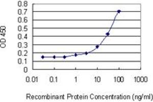 Detection limit for recombinant GST tagged ATF6 is 0. (ATF6 抗体  (AA 91-193))
