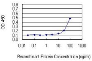 Detection limit for recombinant GST tagged RPL17 is 3 ng/ml as a capture antibody. (RPL17 抗体  (AA 1-184))
