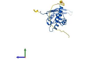 Protein Structure (PS) image for Sorting Nexin 10 (SNX10) (AA 1-201) protein (His tag) (ABIN7560684)