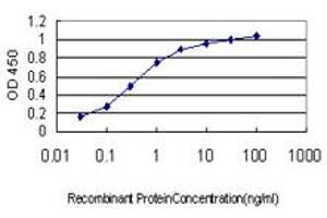 Detection limit for recombinant GST tagged SOCS5 is approximately 0. (SOCS5 抗体  (AA 1-110))