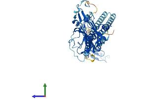 Protein Structure (PS) image for Tripartite Motif Containing 68 (TRIM68) (AA 1-485) protein (His tag) (ABIN7559490)