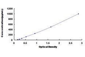 Corticotropin Releasing Hormone Binding Protein (CRHBP) ELISA Kit