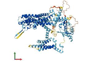 AlphaFold protein structure predicition of Mouse Recombinant Tpcn1 Protein, UniprotID Q9EQJ0 (TPCN1 Protein (AA 1-817) (His tag))