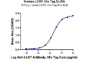 Lecithin-Cholesterol Acyltransferase (LCAT) (AA 25-440) protein (His tag)