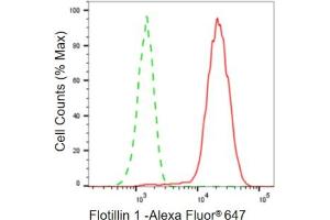 Flow cytometric analysis of Flotillin 1 expression in HepG2 cells using Flotillin 1 antibody (ABIN7798632), 1:2,000). (Recombinant Flotillin 1 抗体)