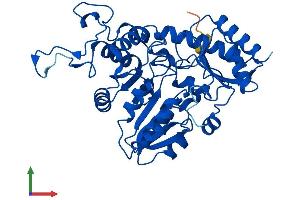Protein Structure (PS) image for Cystathionase (Cystathionine gamma-Lyase) (CTH) (AA 1-398) protein (His tag) (ABIN7564734)