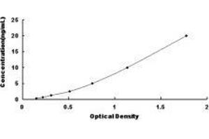 Dystroglycan 1 (DAG1) ELISA Kit