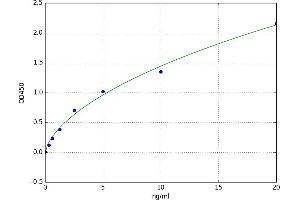 A typical standard curve (LAMTOR1 ELISA 试剂盒)