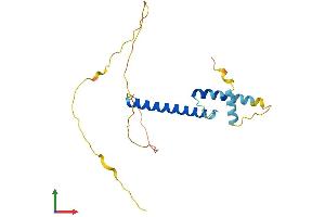AlphaFold protein structure predicition of Human Recombinant TWIST1 Protein, UniprotID Q15672