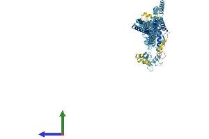 AlphaFold protein structure predicition of Mouse Recombinant Dcst1 Protein, UniprotID Q059Y8