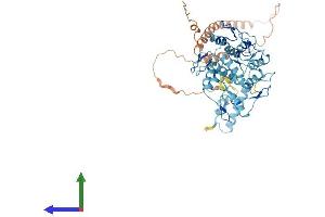 Protein Structure (PS) image for Zinc Finger Protein 253 (ZNF253) (AA 1-499) protein (His tag) (ABIN7545258)