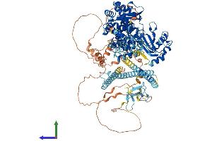 Protein Structure (PS) image for Microtubule Associated Monoxygenase, Calponin and LIM Domain Containing 1 (MICAL1) (AA 1-1067) protein (His tag) (ABIN7554571)
