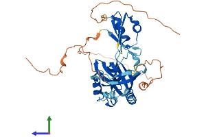 Protein Structure (PS) image for Tudor Domain Containing 10 (TDRD10) (AA 1-366) protein (His tag) (ABIN7544274)