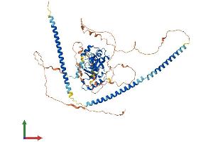 Protein Structure (PS) image for SKI-Like Oncogene (SKIL) (AA 1-675) protein (His tag) (ABIN7557591)