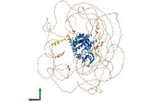 Protein Structure (PS) image for Apoptosis-Associated tyrosine Kinase (AATK) (AA 1-1365) protein (His tag) (ABIN7564298)