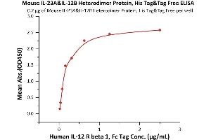 Immobilized Mouse IL-23A&IL-12B Heterodimer Protein, His Tag&Tag Free (ABIN4949174,ABIN4949175) at 2 μg/mL (100 μL/well) can bind Human IL-12 R beta 1, Fc Tag (ABIN6731330,ABIN6809859) with a linear range of 0. (IL12A & IL27B (AA 22-196) (Active) protein (His tag))