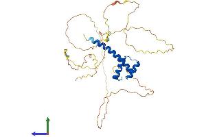 Protein Structure (PS) image for Homeobox D10 (HOXD10) (AA 1-340) protein (His tag) (ABIN7548380)