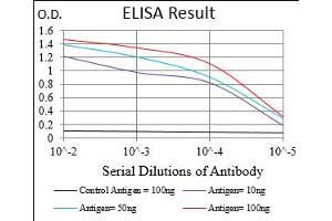 Fig. (SSTR3 抗体  (AA 1-43))