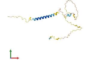 Protein Structure (PS) image for Signaling threshold Regulating Transmembrane Adaptor 1 (SIT1) (AA 1-180) protein (His tag) (ABIN7559143)
