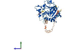 Protein Structure (PS) image for ST6 (Alpha-N-Acetyl-Neuraminyl-2,3-beta-Galactosyl-1,3)-N-Acetylgalactosaminide alpha-2,6-Sialyltransferase 5 (ST6GALNAC5) (AA 1-336) protein (His tag) (ABIN7561794)