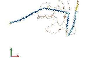 Protein Structure (PS) image for Chromosome 14 Open Reading Frame 39 (C14ORF39) (AA 1-574) protein (His tag) (ABIN7560642)
