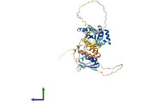 Protein Structure (PS) image for Neuro-Oncological Ventral Antigen 1 (NOVA1) (AA 1-507) protein (His tag) (ABIN7561642)