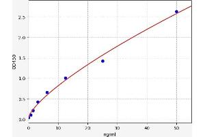 Caspase 9 ELISA 试剂盒