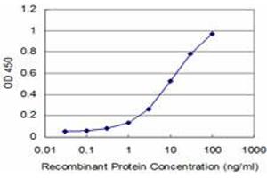 Detection limit for recombinant GST tagged ROR2 is approximately 1ng/ml as a capture antibody. (ROR2 抗体  (AA 34-143))