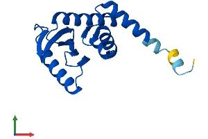 Protein Structure (PS) image for Adaptor Related Protein Complex 1 sigma 1 (AP1S1) (AA 1-158) protein (His tag) (ABIN7552193)