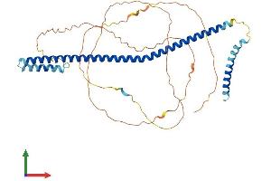 AlphaFold protein structure predicition of Mouse Recombinant Cenpu Protein, UniprotID Q8C4M7
