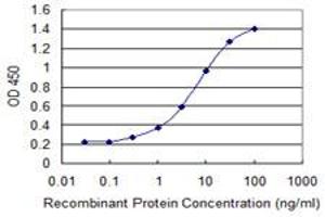 Detection limit for recombinant GST tagged ZNF192 is 0. (ZNF192 抗体  (AA 1-90))