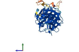 Protein Structure (PS) image for Lectin, Galactoside-Binding, Soluble, 8 (LGALS8) (AA 1-317) protein (His tag) (ABIN7549010)