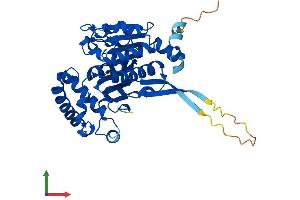 Protein Structure (PS) image for SUMO1 Activating Enzyme Subunit 1 (SAE1) (AA 1-346) protein (His tag) (ABIN7551720)