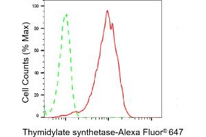 Flow cytometric analysis of Thymidylate synthetase expression in HepG2 cells using Thymidylate synthetase antibody (ABIN7800553), 1:2,000).