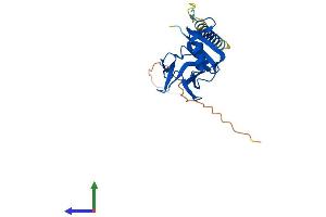 Protein Structure (PS) image for Killer Cell Lectin-Like Receptor Subfamily K, Member 1 (KLRK1) (AA 1-216) protein (His tag) (ABIN7554719)